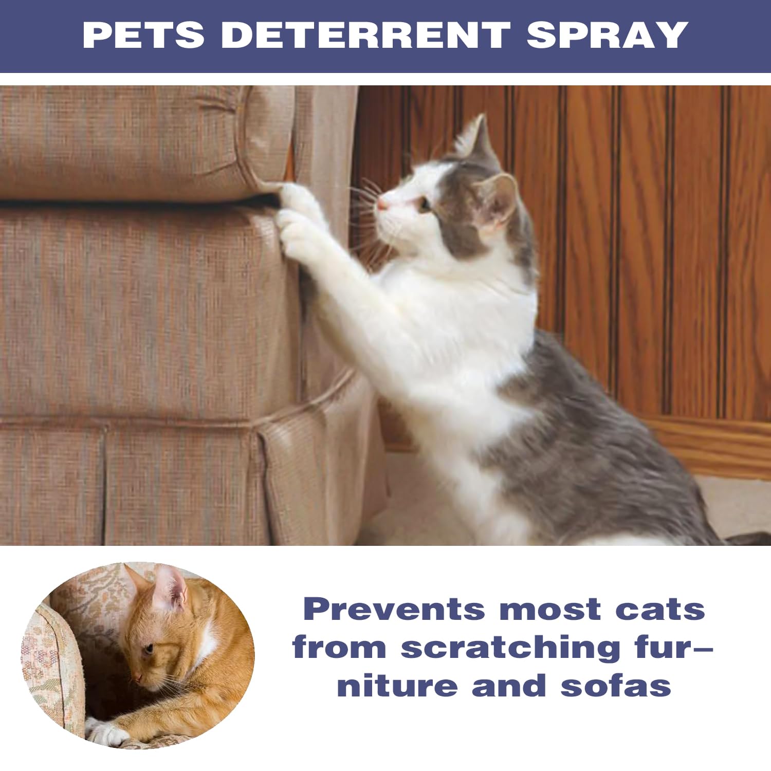 MagiSel Spray AntiGraffio, Spray AntiGraffio Gatto, Spray AntiGraffio Gatti Divano, Protegge i Mobili,Spray Addestrativo per Allenare Il Comportamento degli Animali Domestici,50 ML