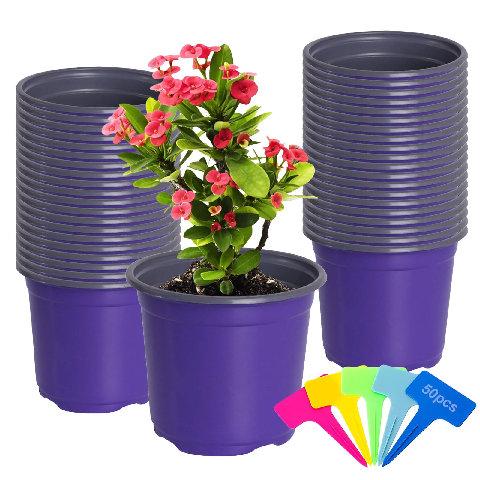 ANBET 50 Pcs Purple Small Plastic Plant Pots, 4.72" (12CM) Seedling Pots with Drainage Holes & 50 Pcs Plants Labels, Succulent Plant Pot Indoor Outdoor