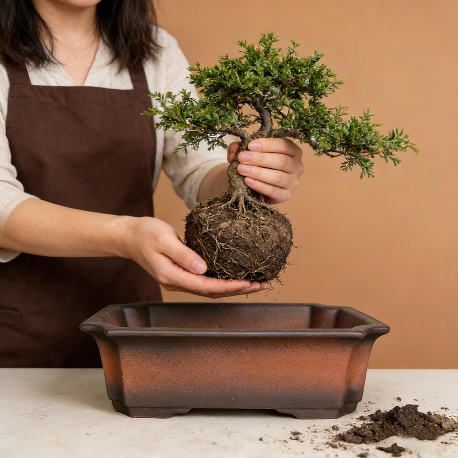 Bonsai Pots with Drainage Tray - Set of 3-10/8/6 Inch Ceramic Rectangle Planters with Classic Retro Design - Indoor-Outdoor Plant Pots for Home & Office Table Top Decor, Gifts, Brown