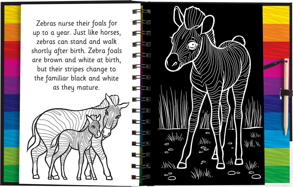 Scratch and Draw Animals