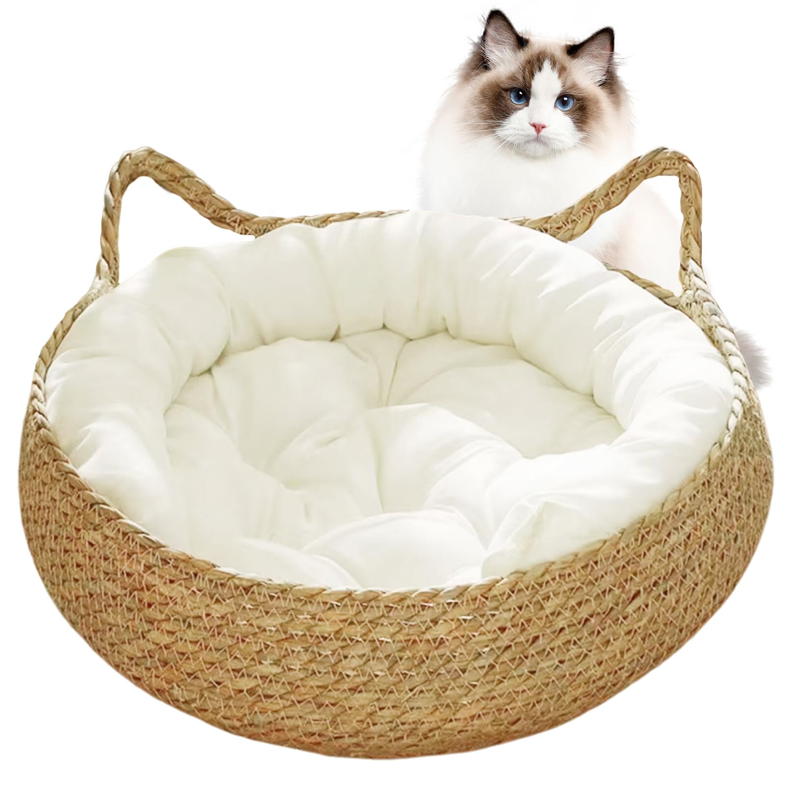 Katzenbett, Katzencouch, Katzenbetten und Möbel, Katzenbetten für Hauskatzen, 38,1 x 12,7 cm, 2-in-1, gewebtes Katzenkörbchen, Bett mit weichem Kissen, kratzfestes Kätzchenbett, gemütlicher