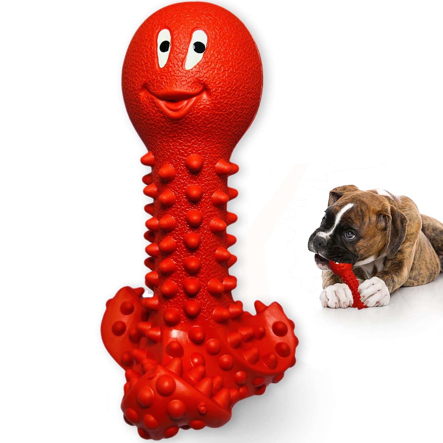 Why Are Dogs Obsessed With Squeakers