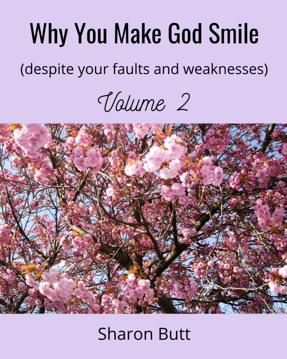 Why You Make God Smile (despite your faults and weaknesses) Volume 2