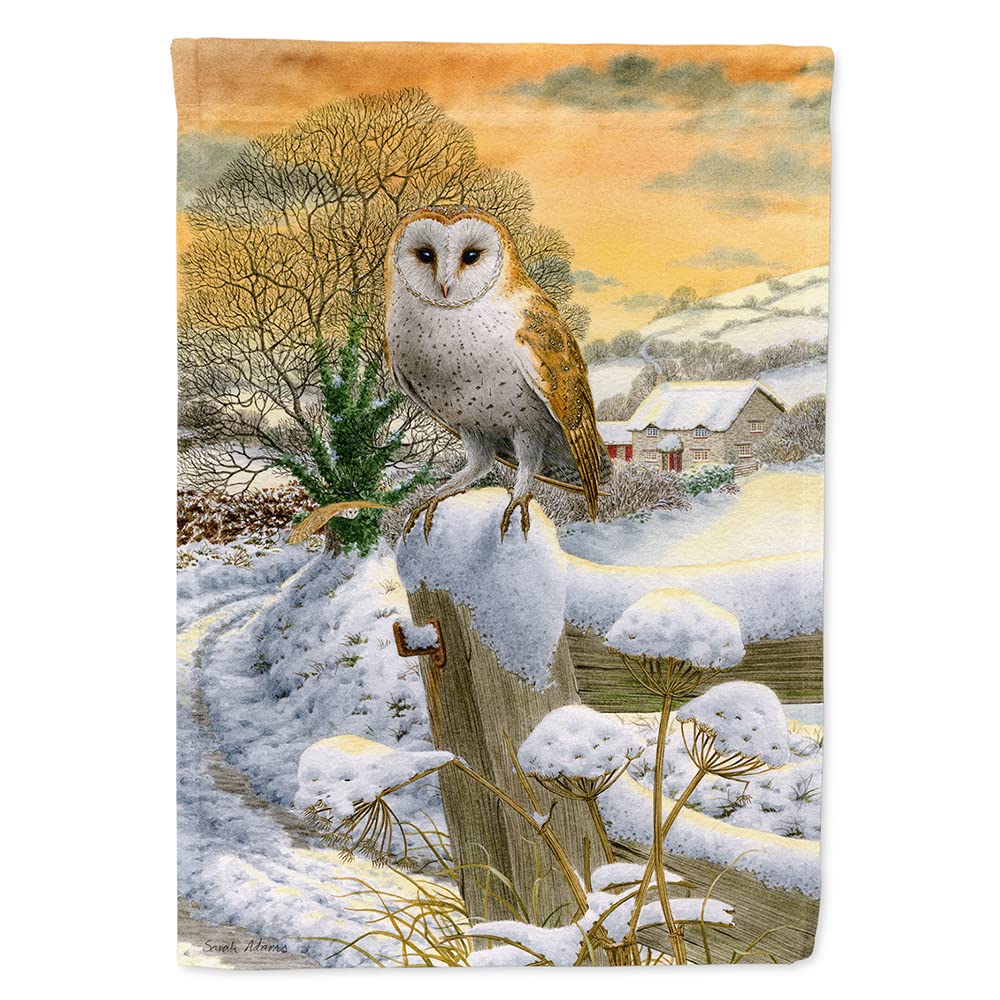 Drapeau Toile Chouette Effraie Grand Format Finition Premium Graphisme Haute Définition
