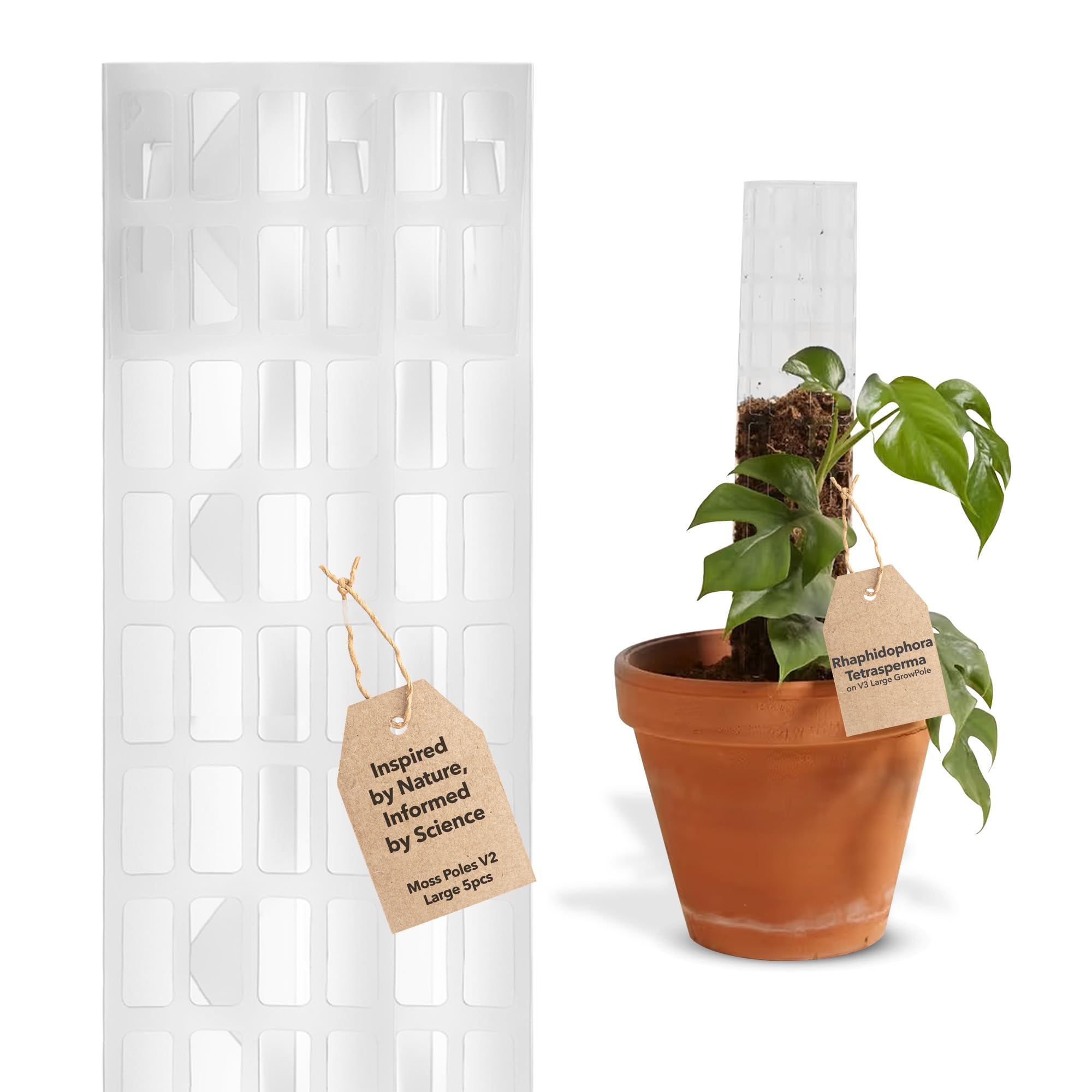 THICCLY V2 Large GrowPole - Stackable Plastic Moss Poles for Climbing Plants, Monstera Plant Support-Plant Climbing Pole, DIY Plant Stick Support, Works for Philodendron and Anthuriums - 5 Pcs