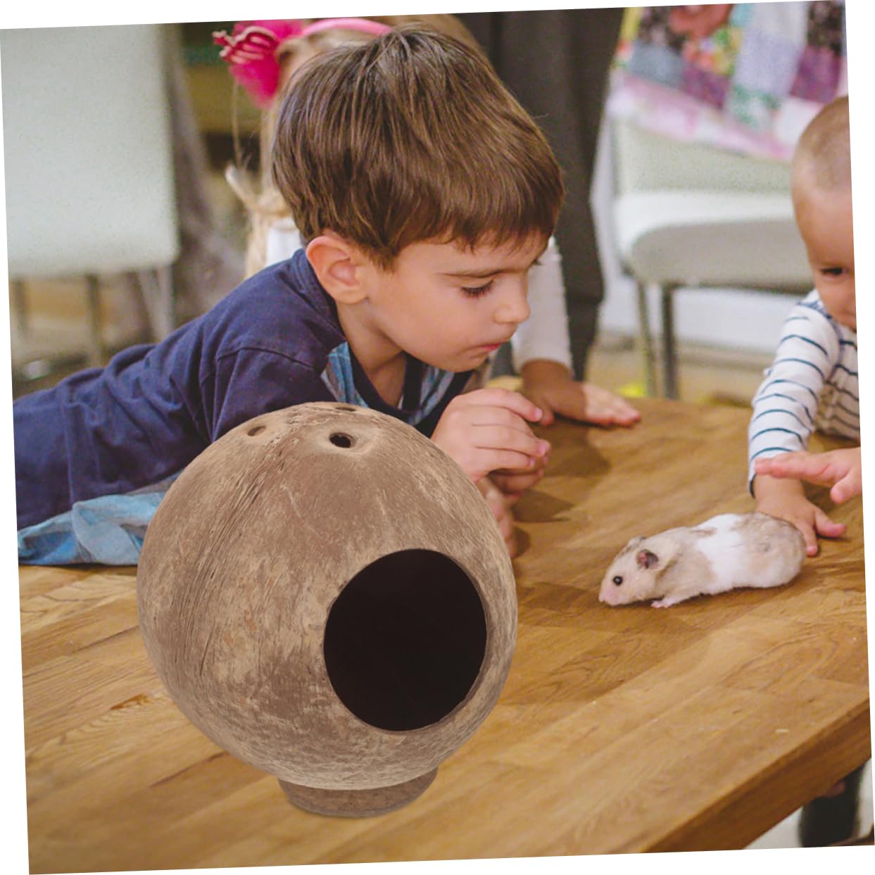 8stücke Hamster Kokosnuss-Haus Für Kleintiere Sichere Und Natürliche Versteckmöglichkeit Für Hamster Und Meerschweinchen Spielzeug Und Schlafplatz Und Langlebig