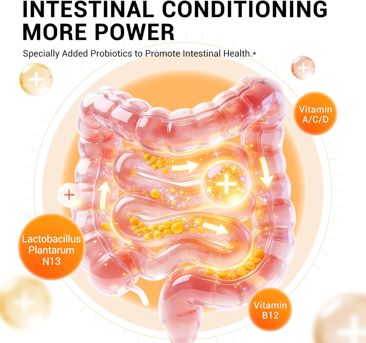 DrBioCare L-Carnitine Probiotics Supplement, Contains L-Carnitine, Probiotics, Green Coffee Powder, Yerha Mate Extract, Garcinia Cambogia Extract, Vitamin B Complex,Vitamin A,Vitamin C 120 Capsules