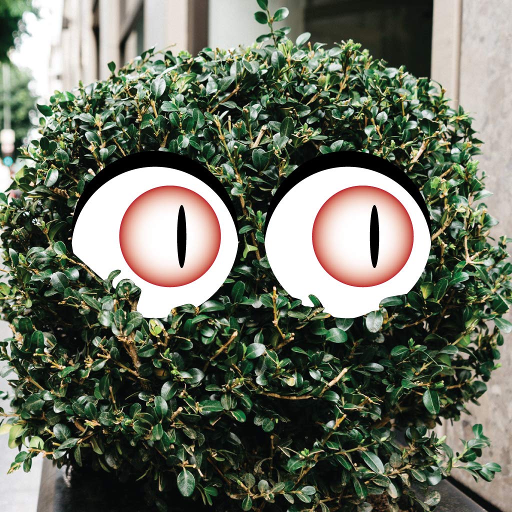 VictoryStore Decoraciones de Halloween al aire libre: ojos aterradores, decoración de patio de Halloween, ideal para arbustos, 12 piezas, incluye estacas