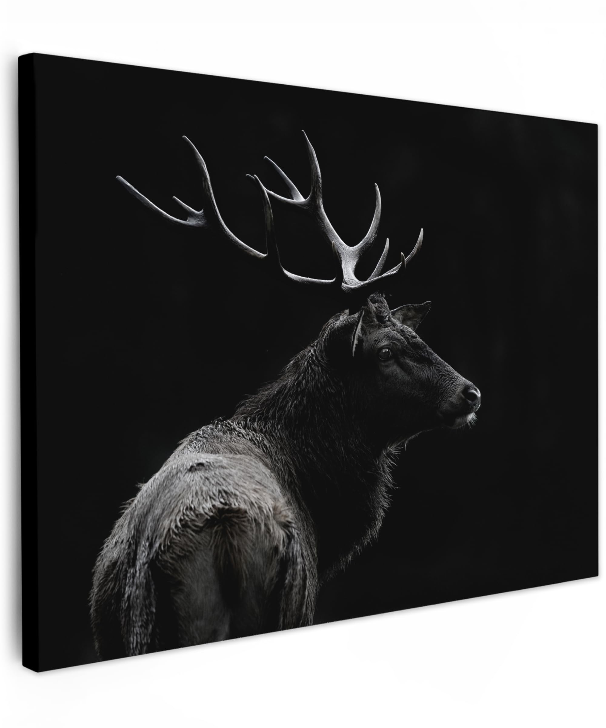MuchoWow© Canvas Wall Art 31"x24" / 80x60 cm Decor Paintings Print framed on Canvas Pictures for Hallway Deer - Black - Portrait - Antlers - Animals — image 1