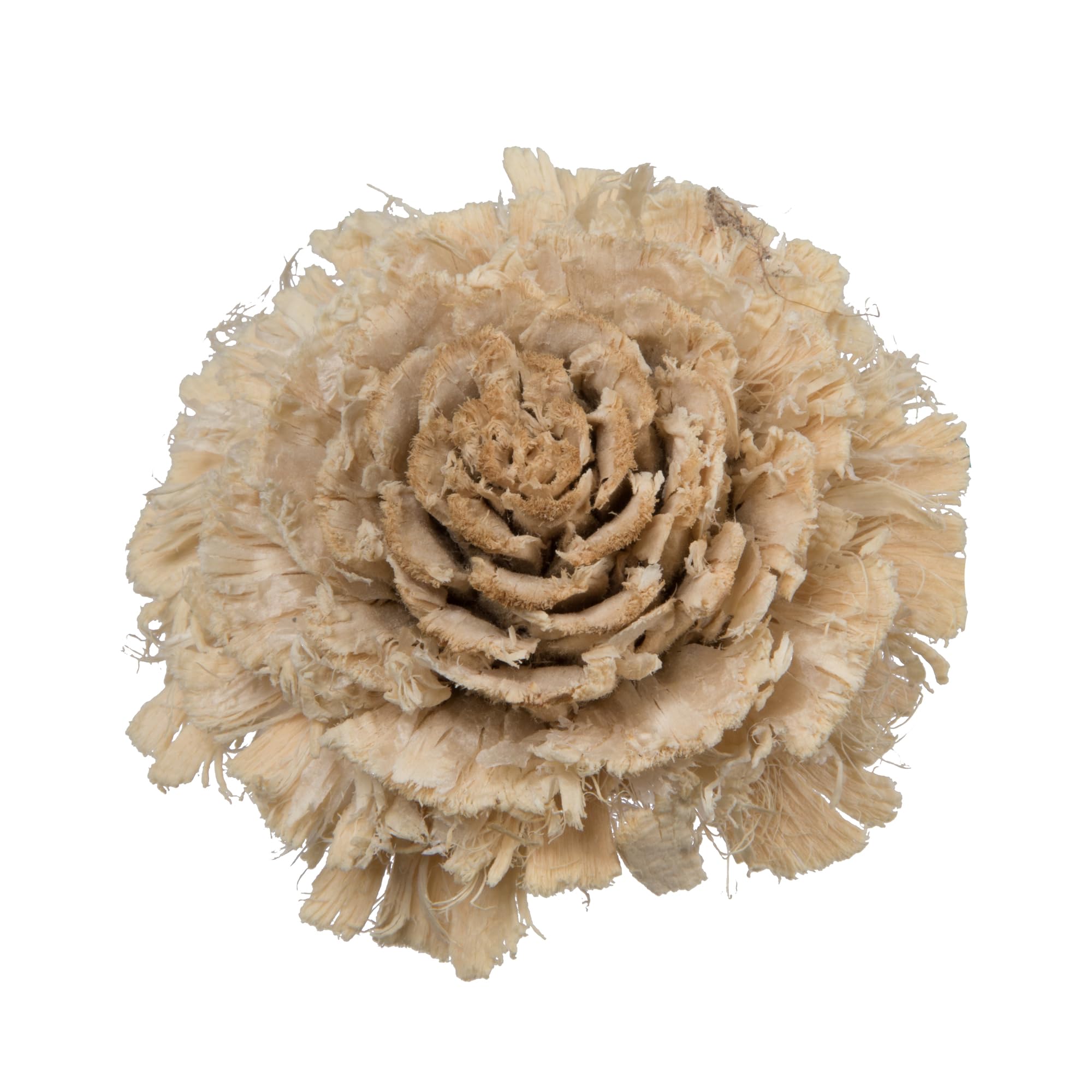 Vickerman Natural Botanicals 1.3" Cedar Rose Bleached, Natural Preserved Foliage Dried Flower, 100 Per Pack