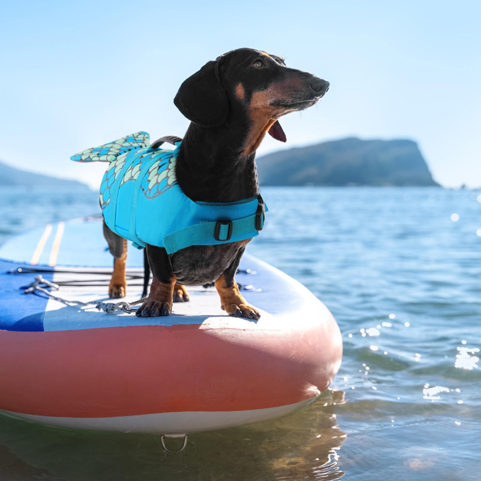 CITÉTOILE Gilet de Sauvetage pour Chien avec Poignée Bleu Écailles XXL | Gilet de Flottaison pour Chien avec Réfléchissant, Veste Flottante pour Chien avec Bonne flottabilité, Les Sports Nautiques