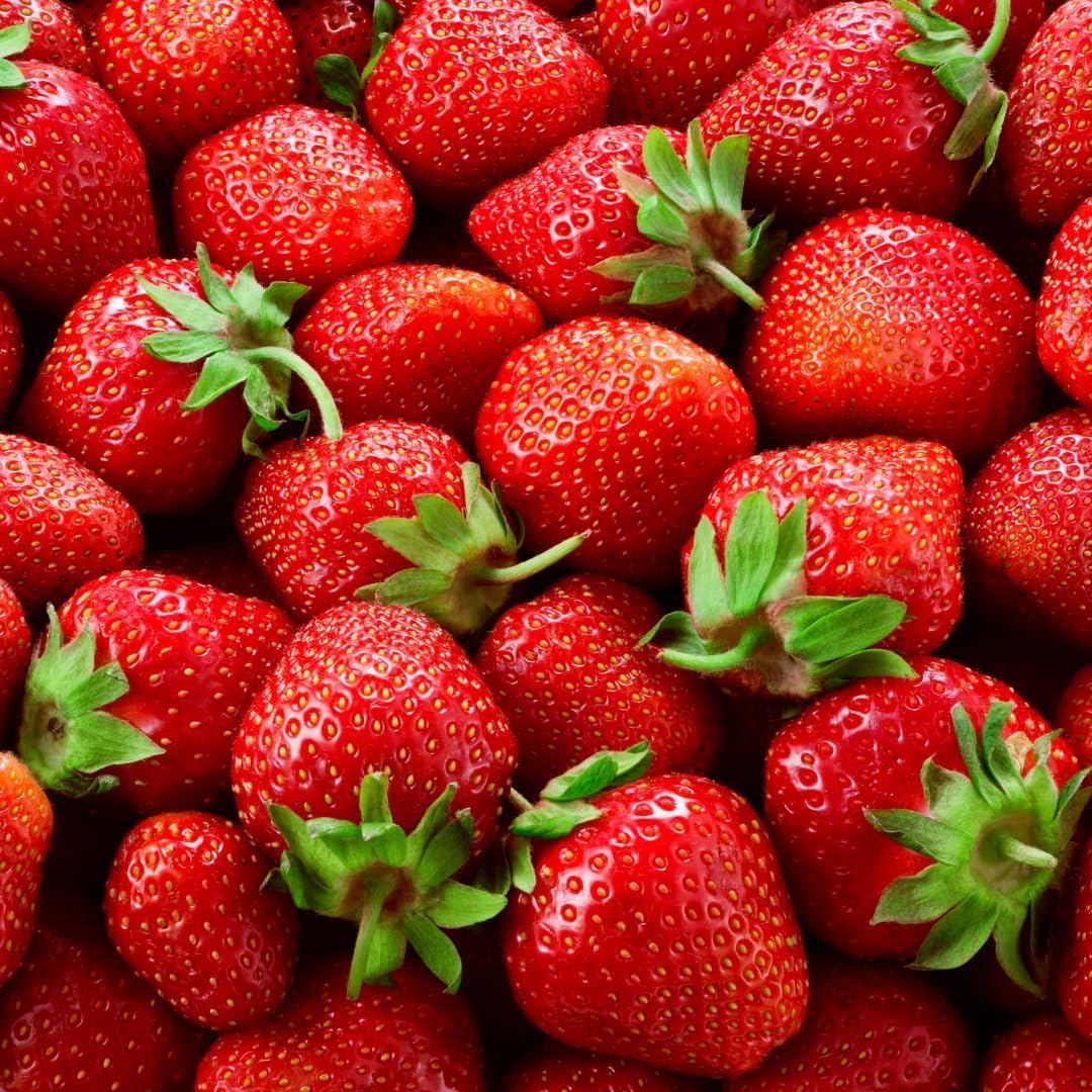 All Star Strawberry Plants 5 Pack