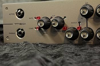 Amazon | EDEN ベースアンプヘッド TN501 500W @ 4Ω | ベースヘッド