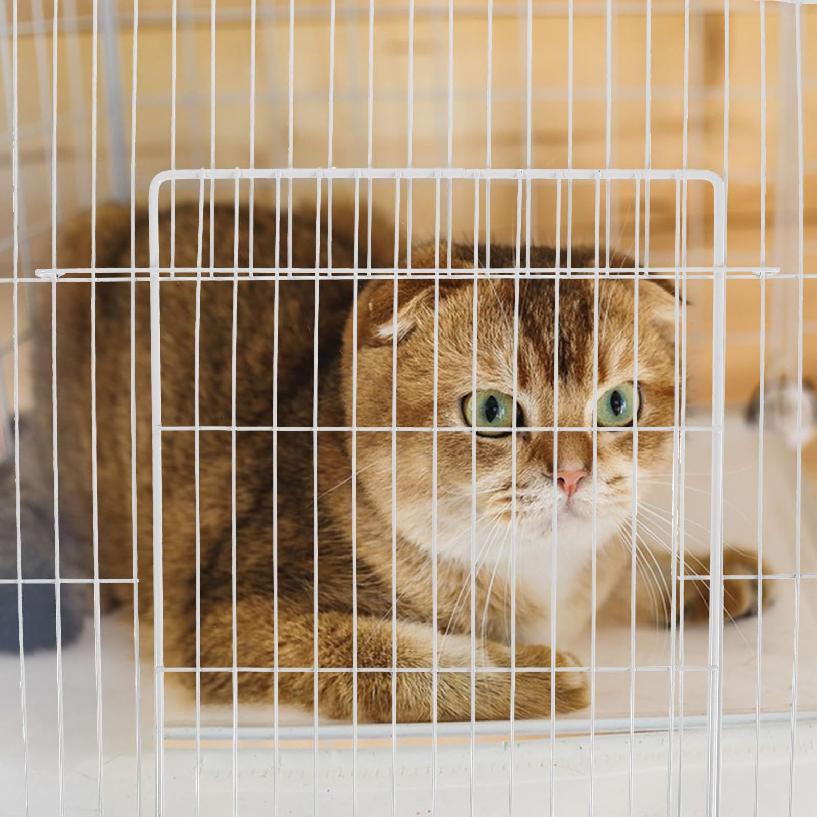 Angoily Haustierkäfig Metallgitter Ersatz Tür 35X35cm mit Innenfaltfunktion für Katzen und Kaninchen Sicheres Gehege Zuhause und Unterwegs
