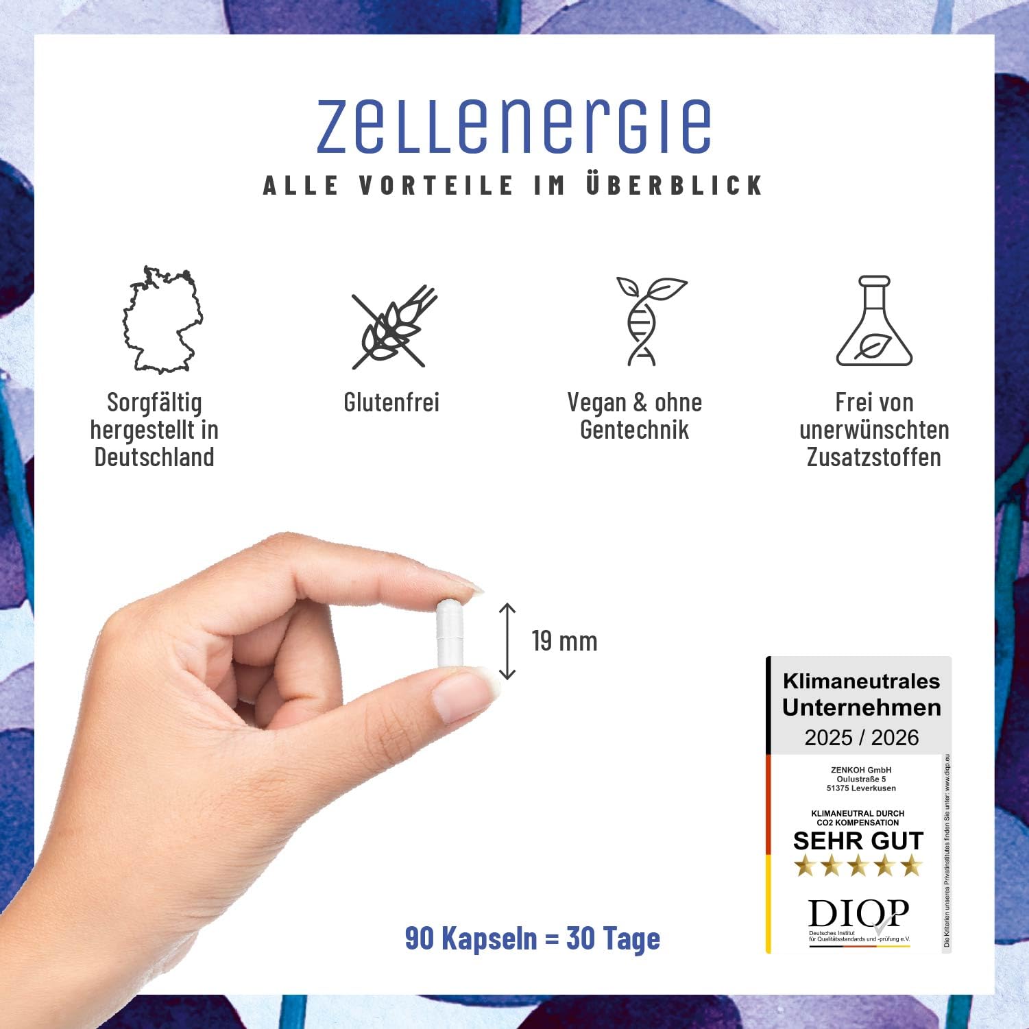 Zellenergie - NAD+ Faktor - mit Nicotinamide-Riboside 300mg (NR) - NAD Komplex - Betain, Resveratrol, Coenzym Q10, Taurin & Vitamin B3 - laborgeprüft in Deutschland – 90 vegane Kapseln von NATURTREU