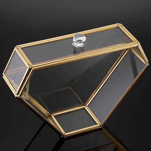 Miniatura 9 de ELLDOO Soporte de filtro de café de vidrio dorado, contenedor de almacenamiento de papel de café, estante dispensador de papel con tapa a prueba de