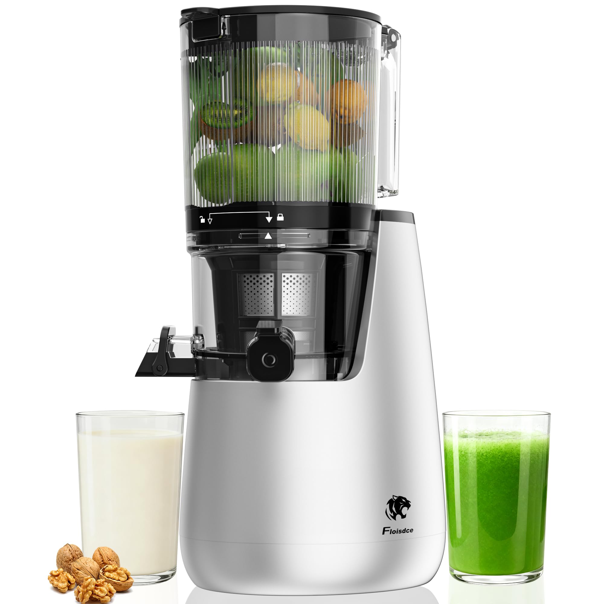Floisdace Cold Press Juicer