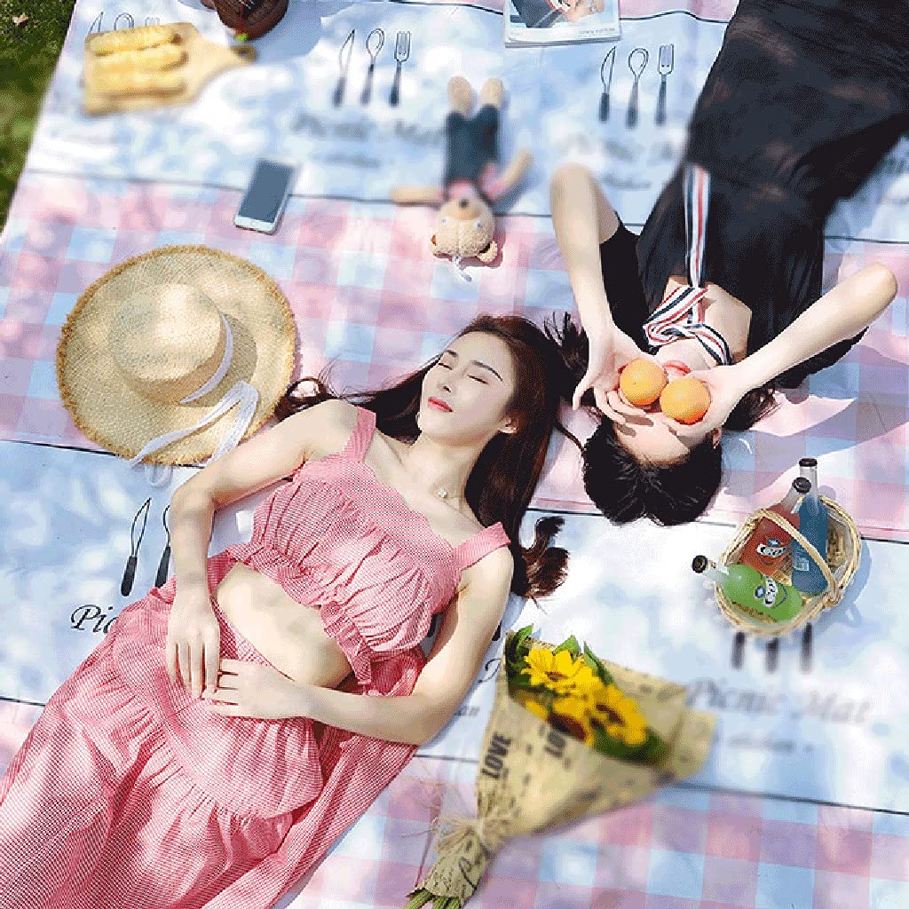alfombras de picnic, almohadillas de playa, Estera de picnic Ocio Espesar Manta de picnic Portátil Multifuncional Camping Viaje Picnic Estera (tela Oxford) (Color: Rojo, Tamaño: Pequeño) ( Color : Red