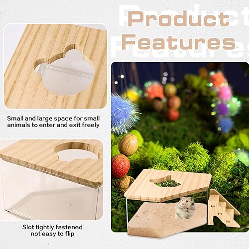 Miniatura 3 de Baño de arena de hámster, contenedor de baño de arena para hámster del pentágono con escalera de escalada, caja de excavación de hámster acrílico