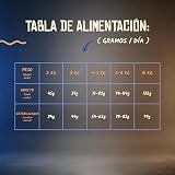 Ver la foto 7