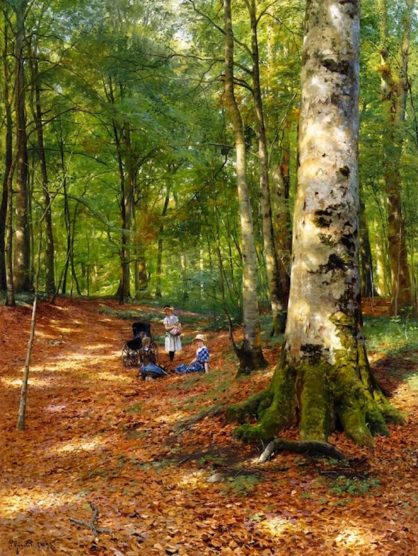 Peinture murale la clairière des bois en impression sur toile haut de gamme 60x90