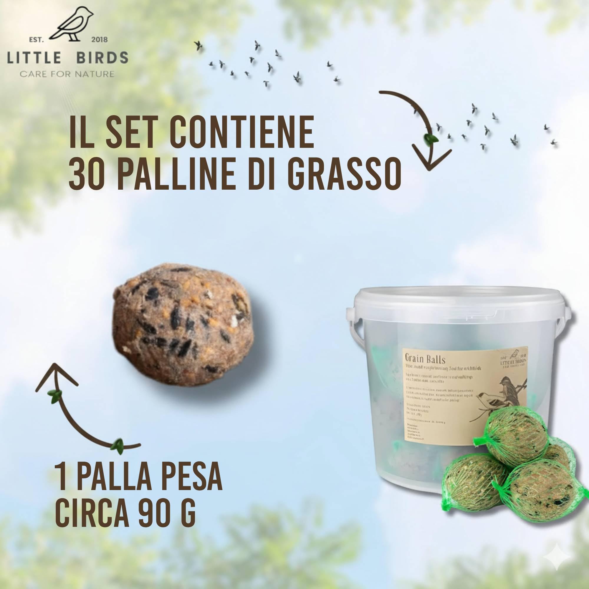 Care4Nature 100 Palline di Grasso per Uccelli Selvatici - Ingredienti Naturali