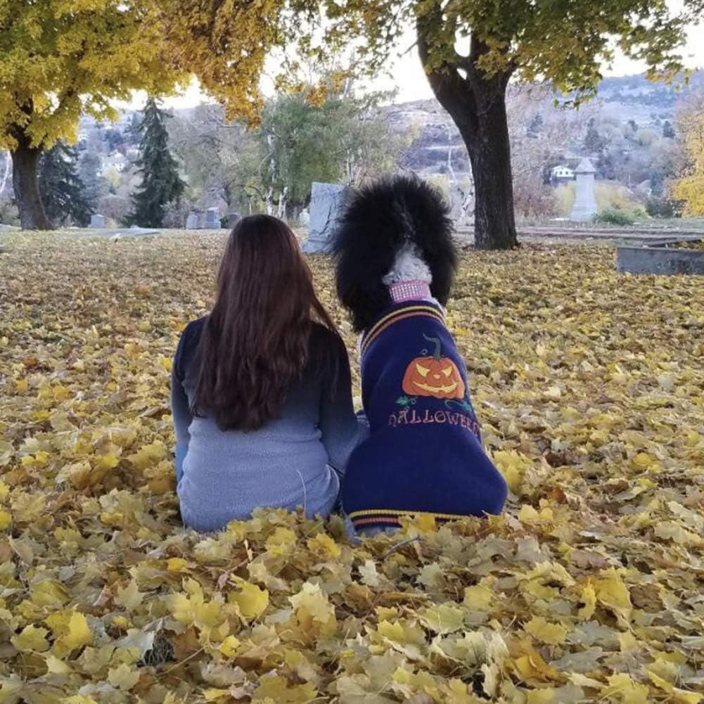 DOGGYZSTYLE Halloween Pumpkin Dog Sweater Pet Costume Fashion Holiday Party Puppy Gift for Dogs and Cats, orange, 2XS - Image 5