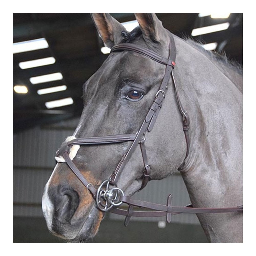 JW RTR MEXICAN BRIDLE — image 1