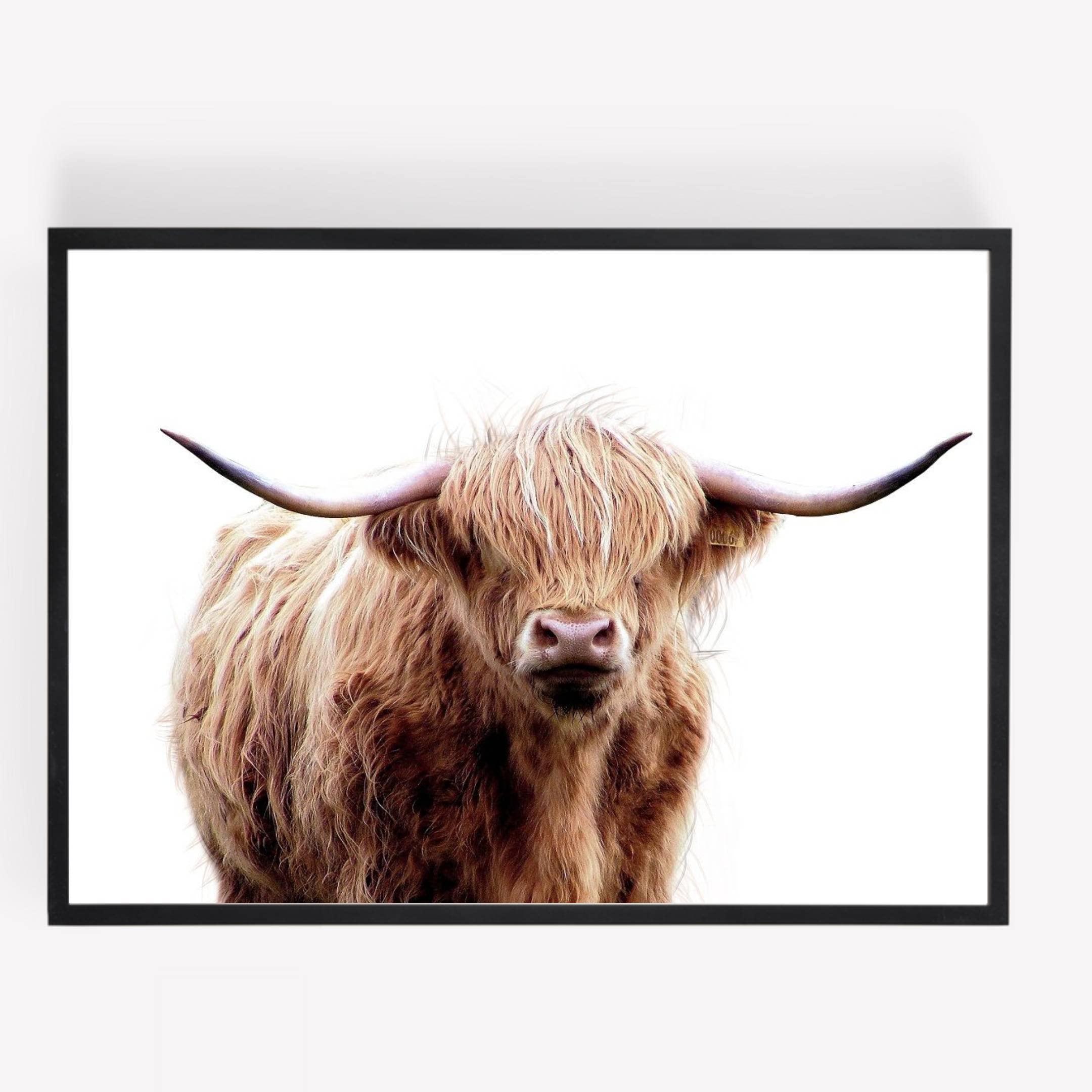 Gfc Multi-Color Highland Cow Print Picture Poster Gift Modern A4 Unframed Wall Art Home Decor Decorating