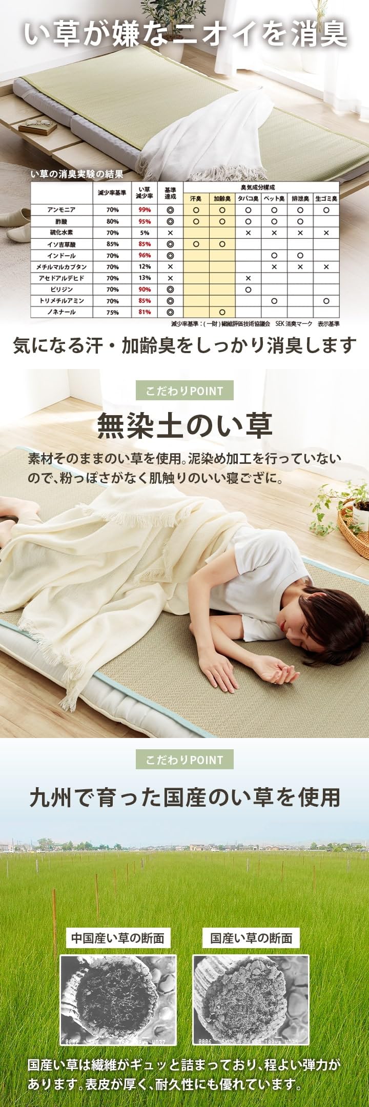 Amazon｜寝ござ セミダブル い草 日本製 いやし ナチュラル 約110