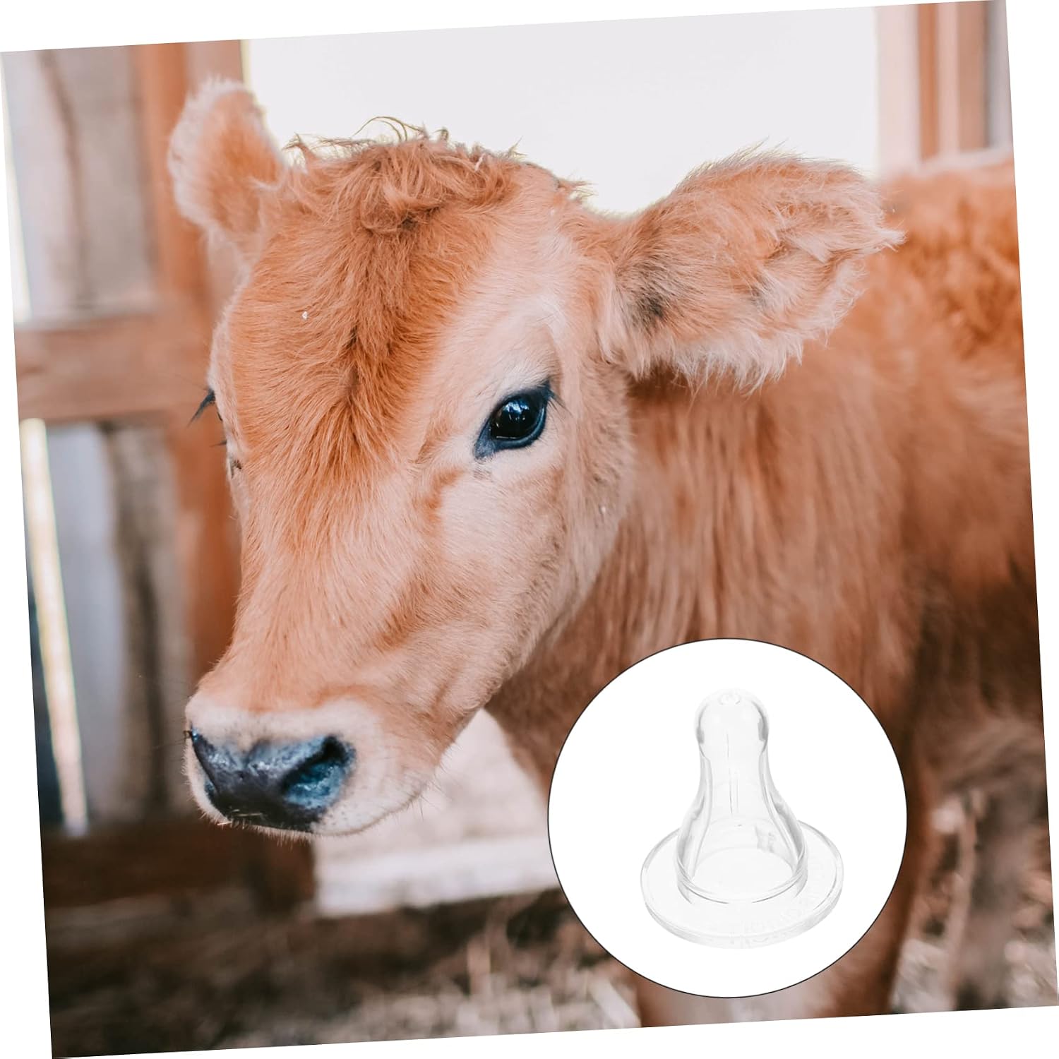 10pcs Silicone Milk Bottle Pacifiers Animal Feeding Nipples for Farm Nipples for Bottles Breastfeeding Pacifier