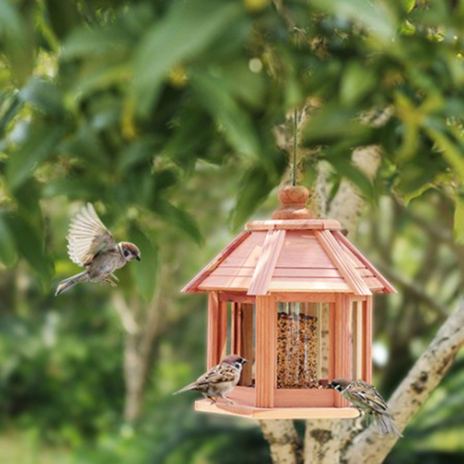 Alimentador de Aves Silvestres Que cuelga para el Patio de jardín Decoración Exterior, forohouse Birdfeeder, Fácil Relleno y Limpio.