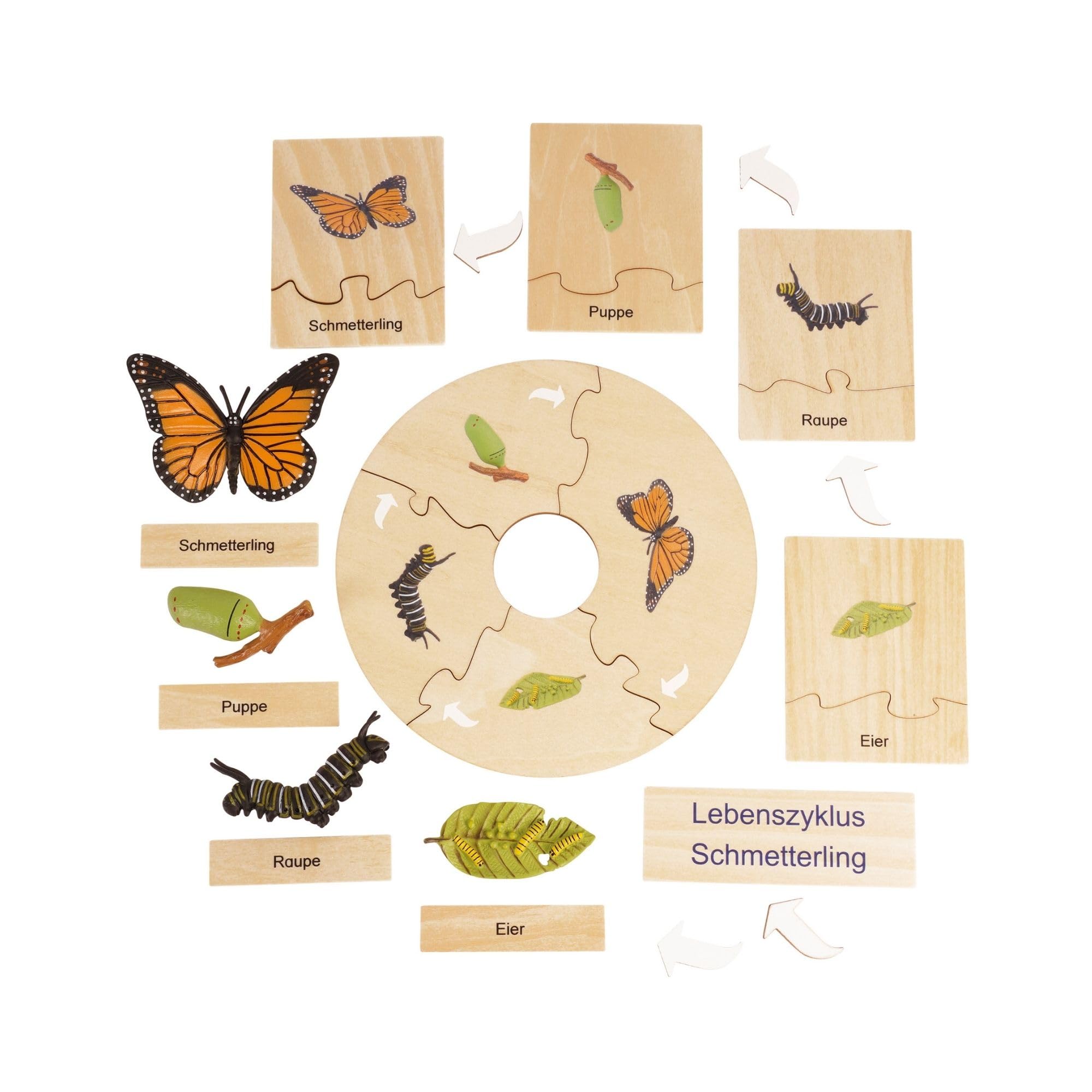 TimeTEX Lebenszyklus eines Schmetterlings Montessori Premium Holzbox 23,1x12,1x5,6 cm