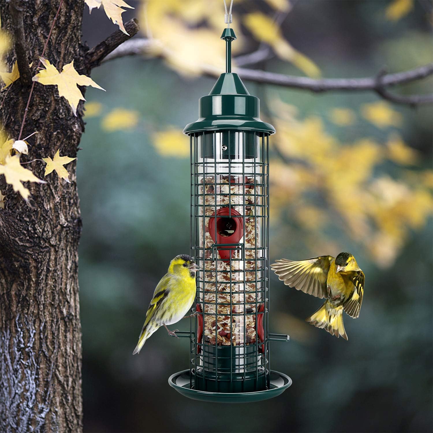 Bird Feeder Metal Material Hanging Wild Birds feeders for Outside w/4 Perches, 1.2-Pound Seed Capacity : Patio, Lawn & Garden