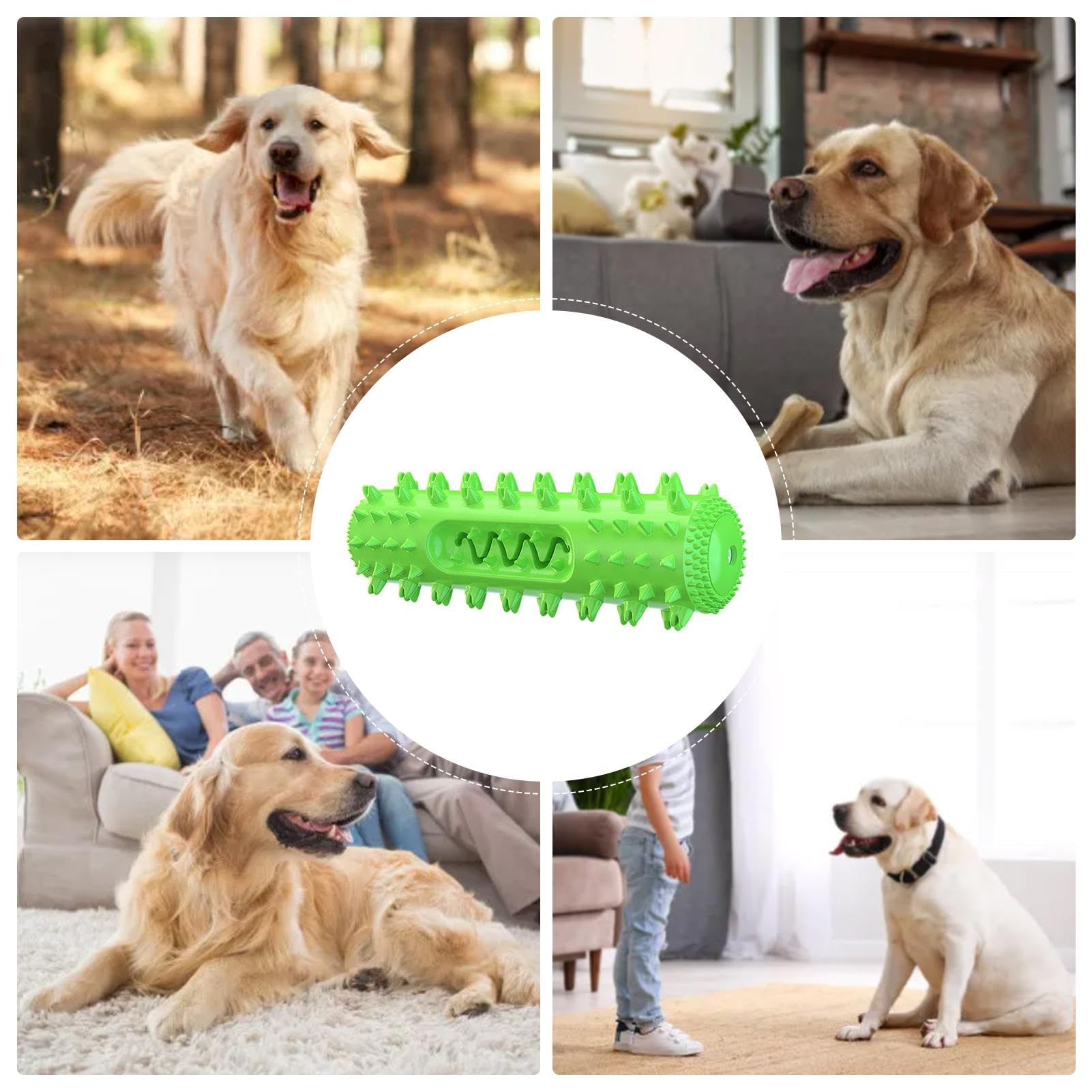 Unzerstrbares Hundespielzeug, unzerstrbar, quietschend, interaktives  Hundespielzeug, Kaustab, robust, interaktiver Gummi-Zahnbrstenstab fr  kleine, mittelgroe und groe Hunderassen : Amazon.de: Haustier