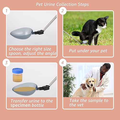Miniatura 6 de Colector de orina para perros y gatos El recogedor telescópico de muestras de orina se extiende hasta 42 pulgadas, reutilizable, práctico, limpio,