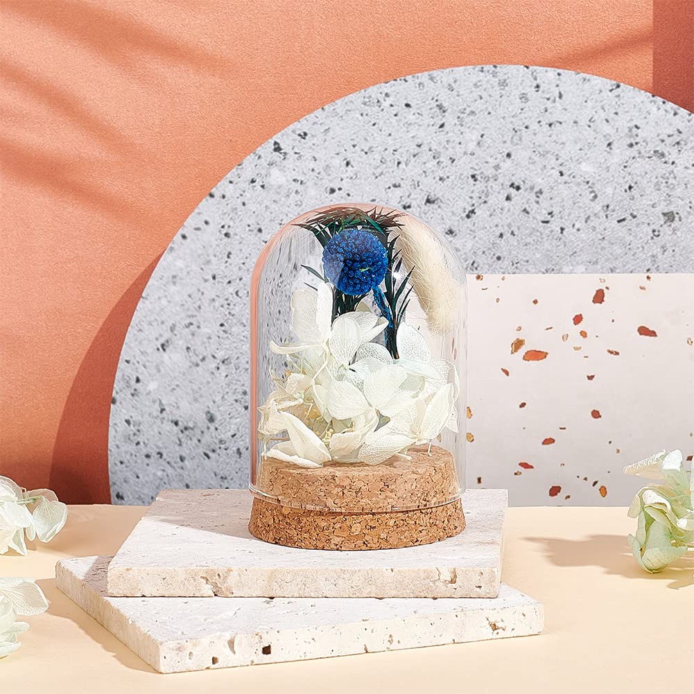 PH PandaHall Glass Display Dome Cloche, Glass Bell Jar with Cork Base Glass Bottles Dome Decorative Jars Display Case for Flower Storage Home Christmas Party Favor Decoration, 2.3x3.5inch