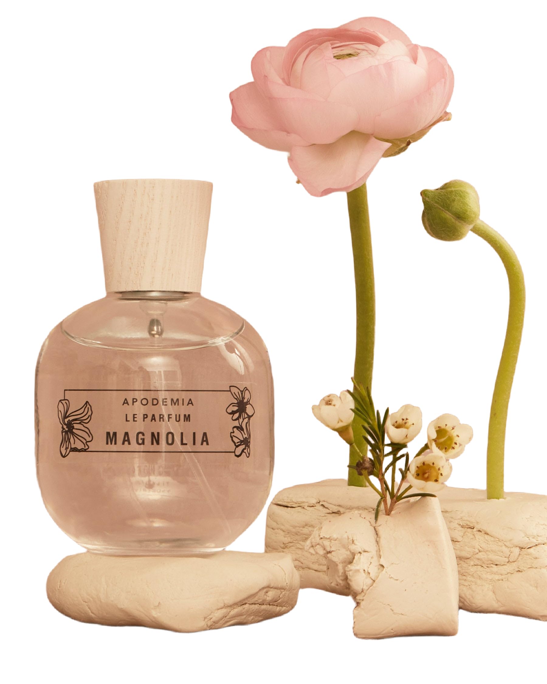 Magnolia Perfume