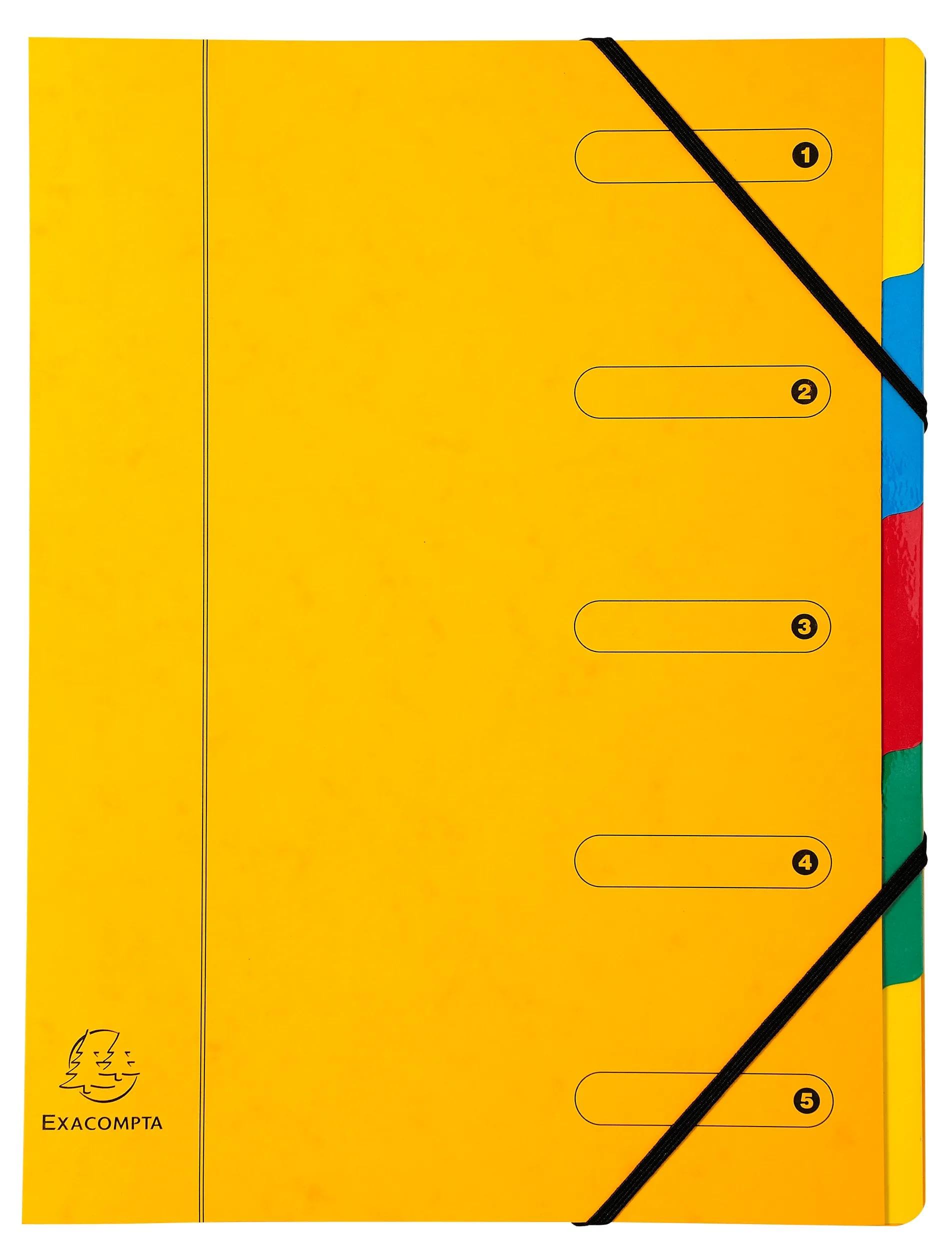 Exacompta - Réf. 5205E - Carton de 8 trieurs HARMONIKA - avec élastiques et fenêtres imprimées - couverture en carte lustrée - dos extensible - 5 compartiments - pour A4 - dim 24,5 x 32 cm - assorties
