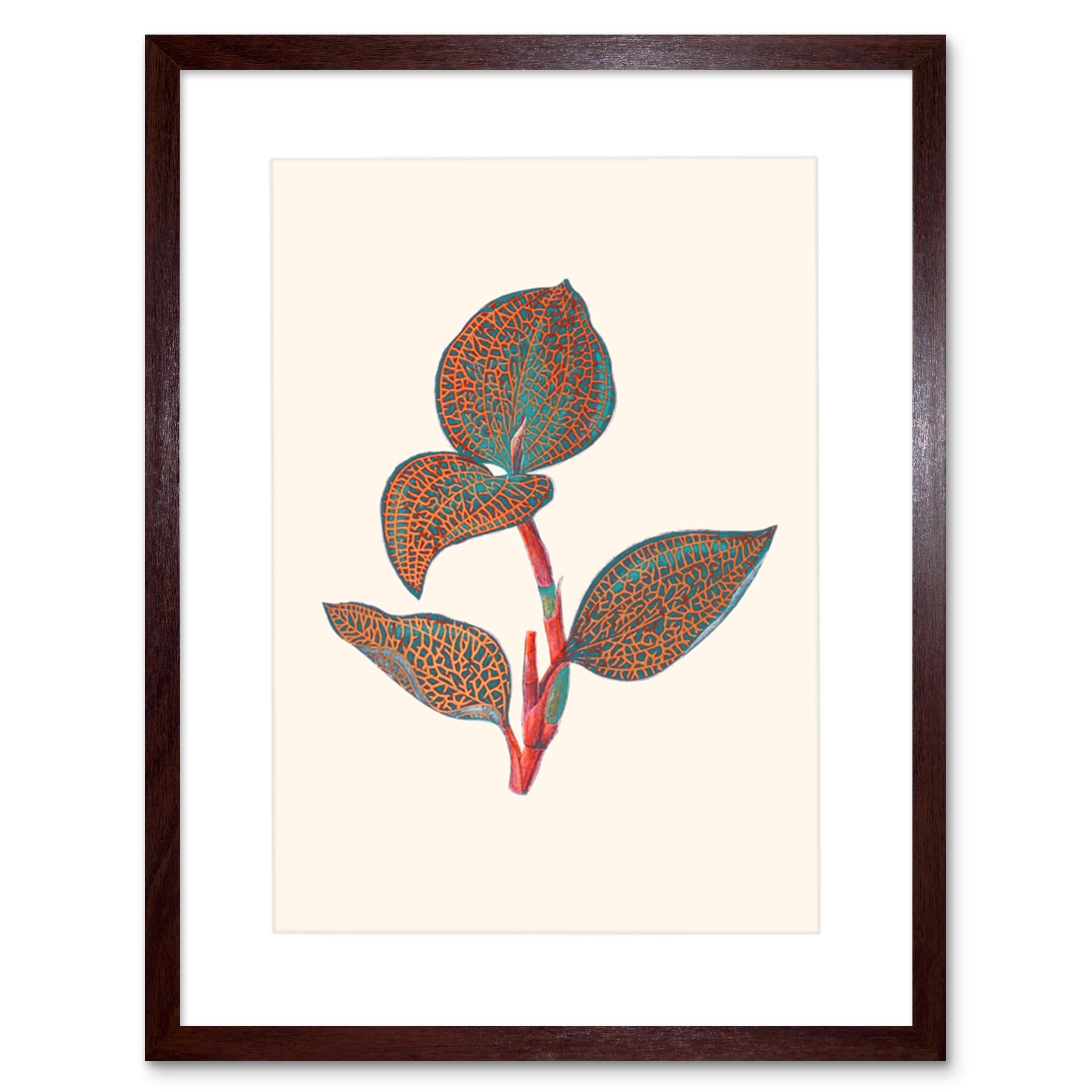 Wee Blue Coo Primary Coloured Exotic Flora Art Print Brown Framed Poster Wall Decor 12x16 inch