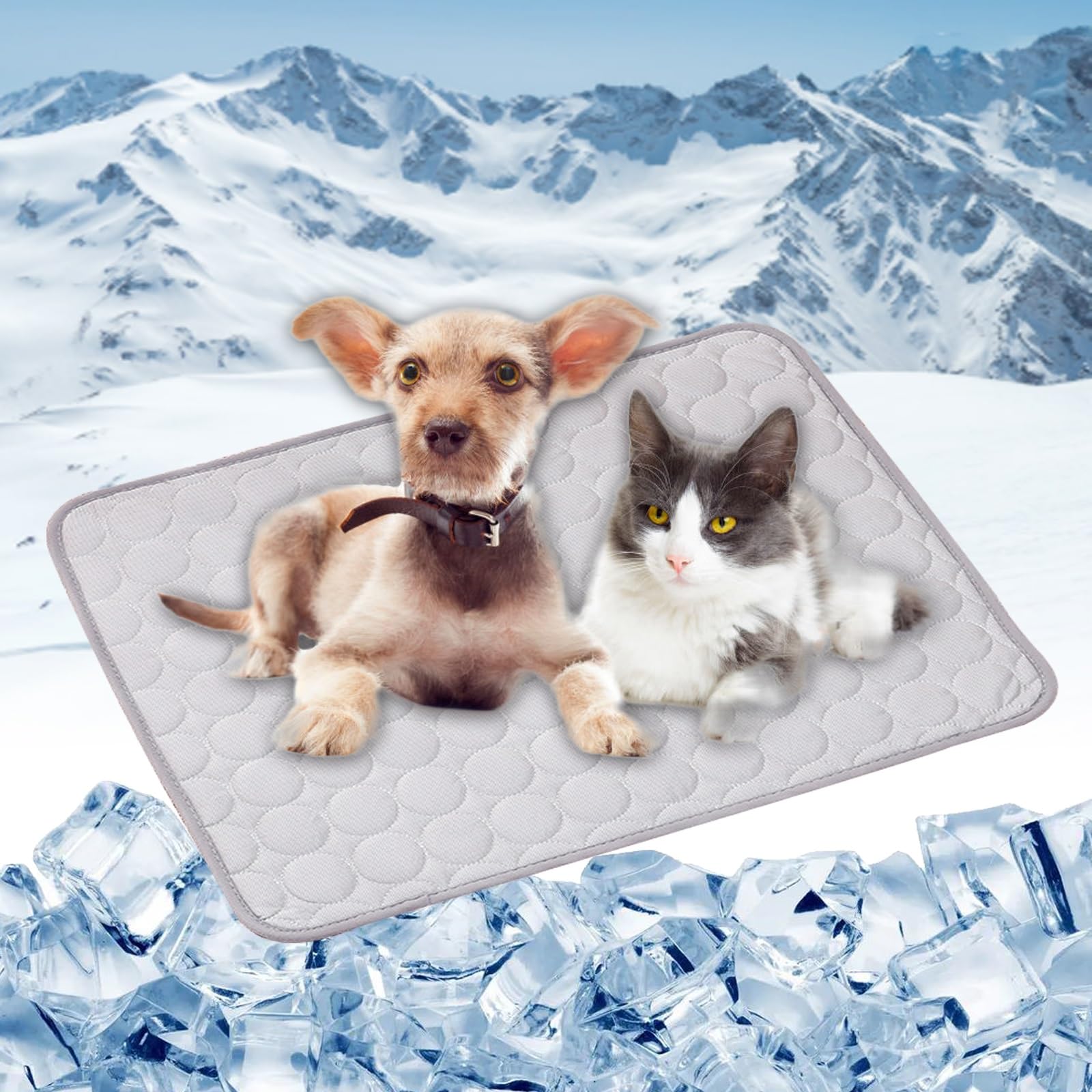 Coussin lavable tapis chien rafraîchissant pour le salon et les voyages en été