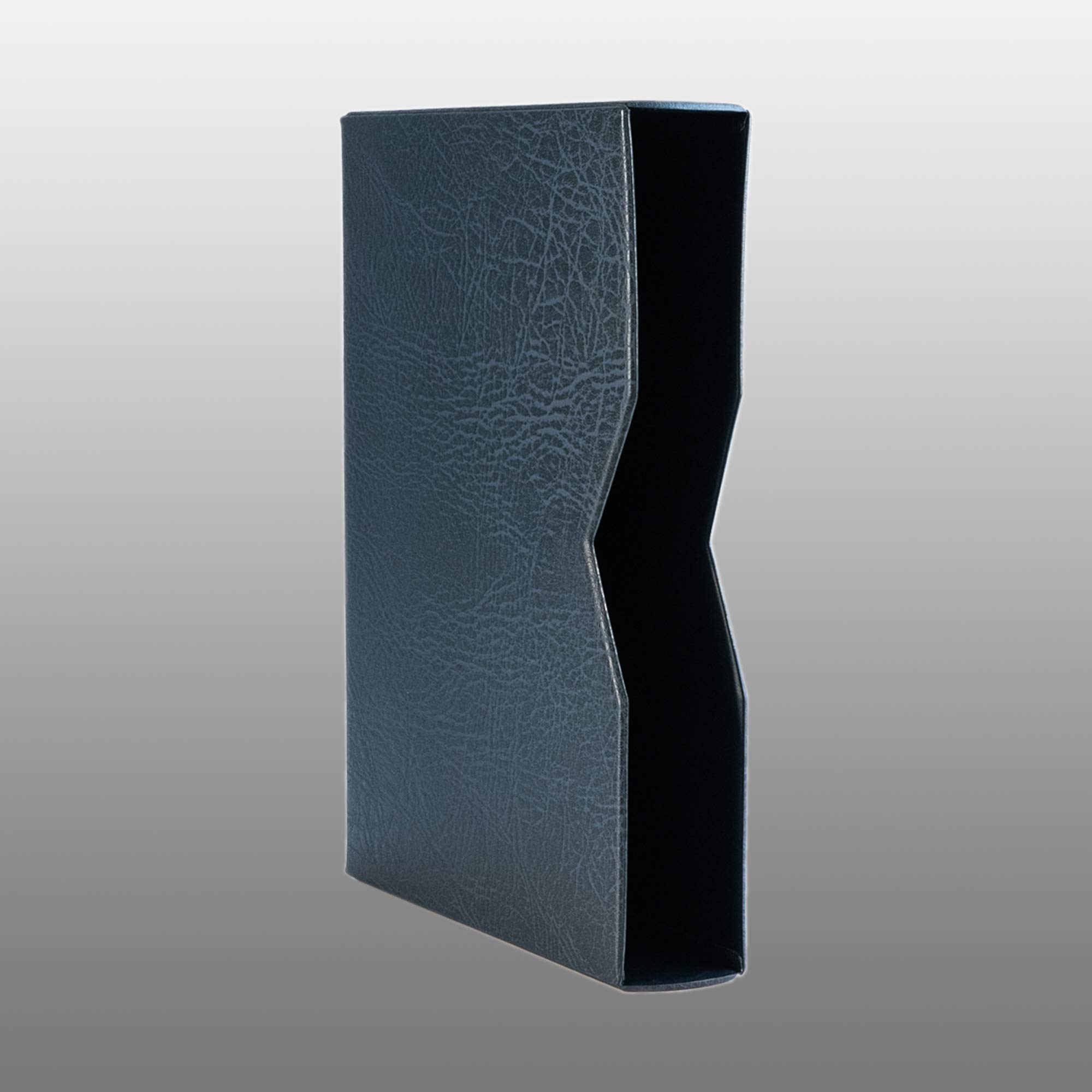 Prophila Clasificador de 60 Paginas Negro con cajetín Protector Azul