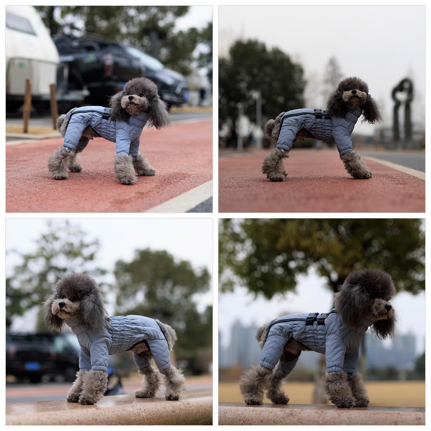 Abrigo cálido para perro, chaleco de doble capa, 4 patas cubiertas, resistente al viento, impermeable, reflectante, chaleco cálido para perro, patinaje al aire libre, disfraz para perros pequeños,