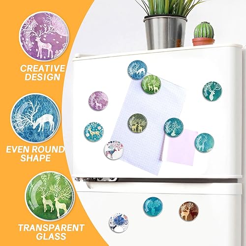 Miniatura 2 de Imanes de vidrio fuertes para refrigerador, 12 imanes decorativos para refrigerador, decoración encantadora para el hogar, cocina, oficina, pizarra