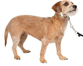 PetSafe Gentle Leader No Pull Dog Headcollar, Silver, Small