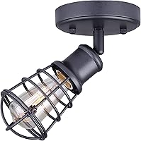 Vista 2 de CANARM ICW611A01GPH Otto 1 luz de techo/pared grafito con pantalla de jaula de metal