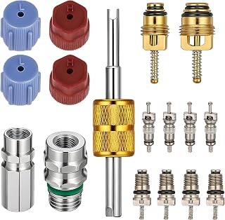 R12 to R134A AC Retrofit Fitting Adapter Kit, 17 Pcs Air Conditioning Valve Core Kit A/C Refrigeration System AC Valve Core Removal Tool A/C Service Port Seal Cap Car A C Charging Port Seal Caps