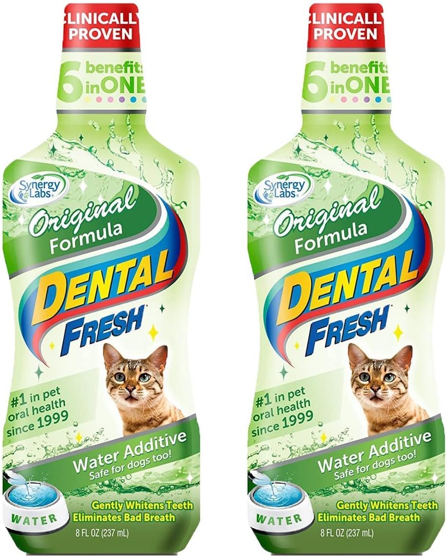 Syn Dental Fresh Dog 8 Oz (Pack of 2)