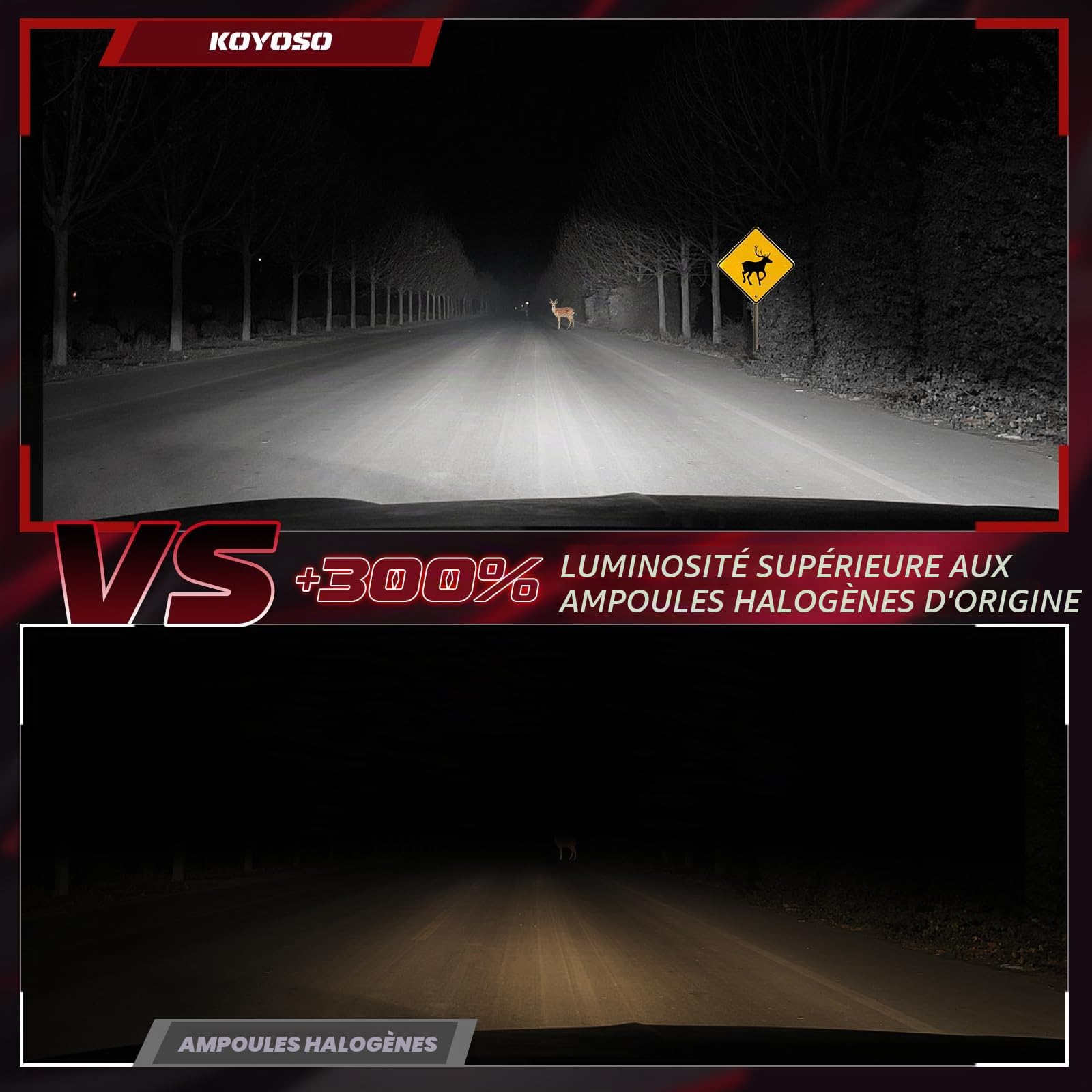 KOYOSO Ampoules LED H7: 120W 36000LM pour 12V Voiture