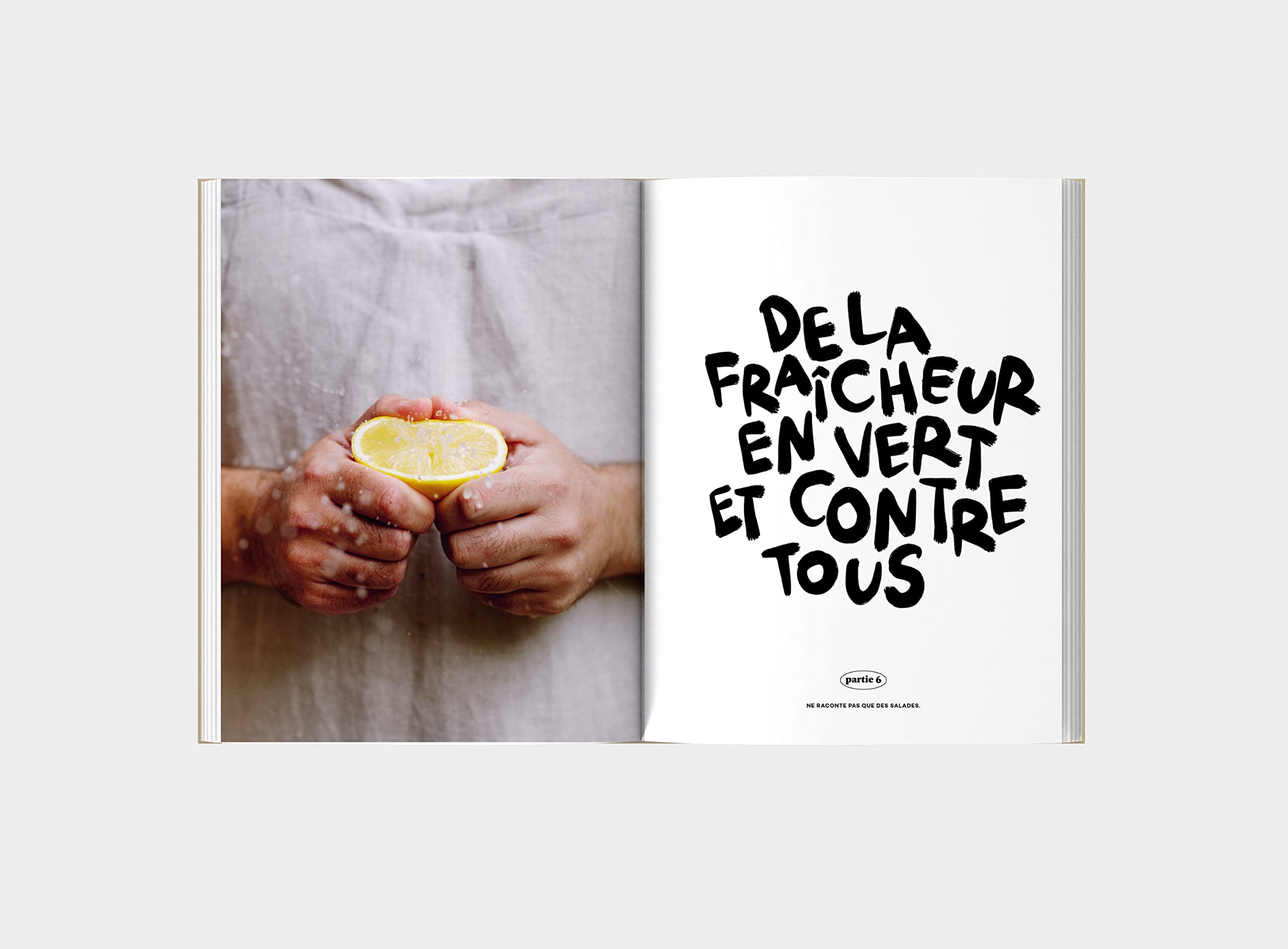 Manuel du cuisinier amateur: 150 recettes et techniques